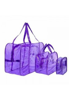 Набор из 3 сумок В РОДДОМ фиолетовых из тонированной пленки..
